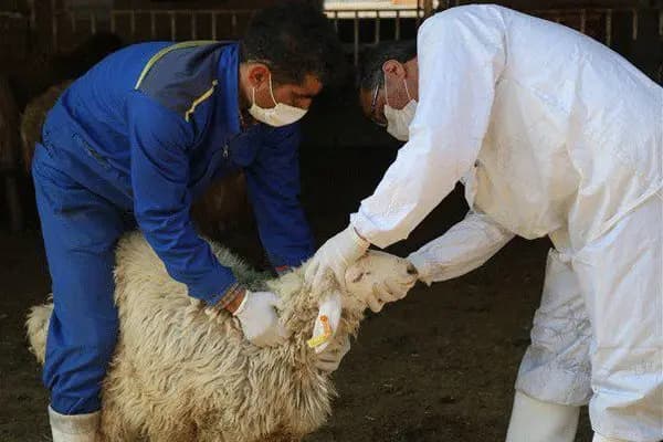 تجدید روابط دوستی و بررسی راهکارهای توسعه اقتصادی در سفر والی فراه