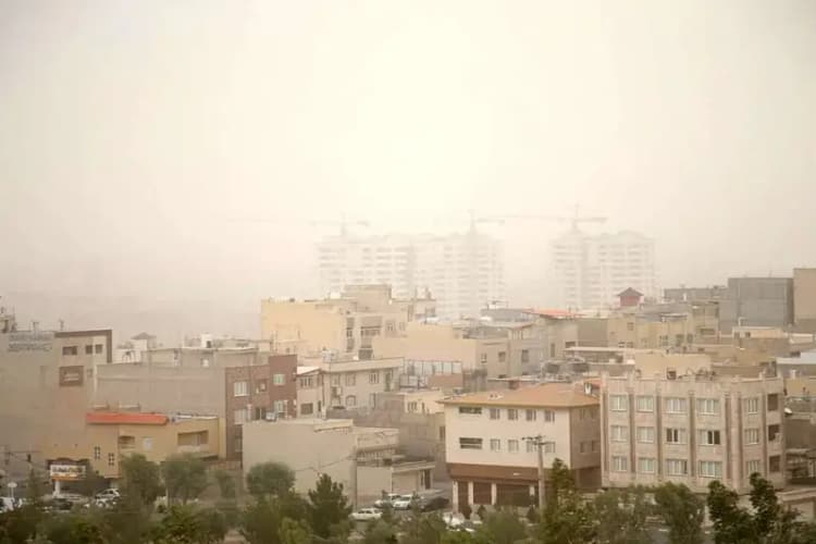 ترند