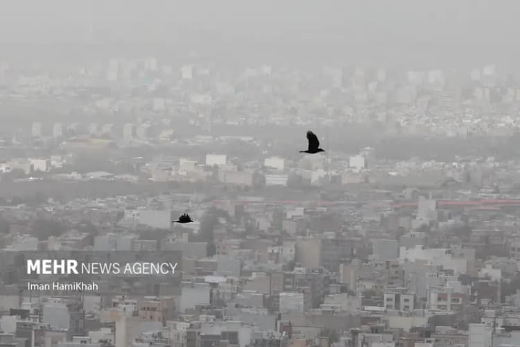 کرمانی ها در سیرجان مانور زلزله برگزار می کنند