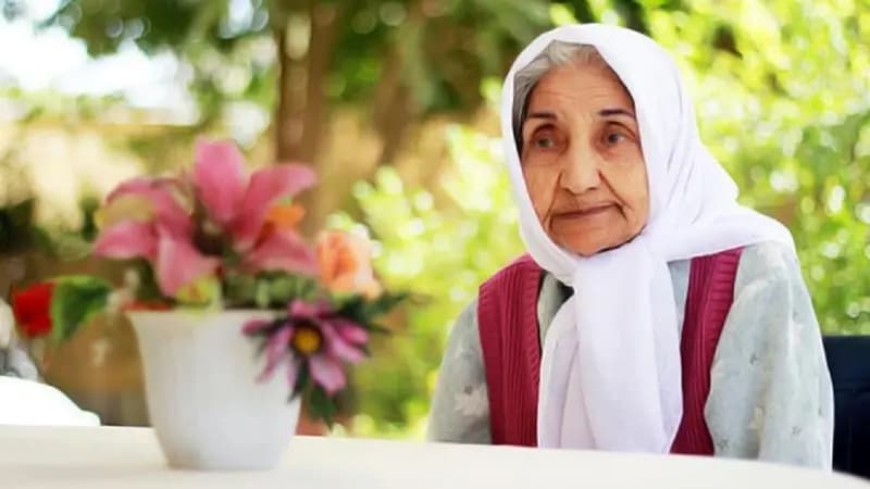 بهزیستی: نسبت جنسی در افراد ۶۰ سال به بالا، در ازای هر ۱۰۰ زن، ۹۲ مرد است/ زنان سرپرست خانوار دارای ۲۱۲ هزار فرزند هستند/ شناسایی ۵۳ هزار زن سالمند تنها در کشور/ حدود ۱۰ میلیون نفر از جامعه، درجاتی از معلولیت دارند