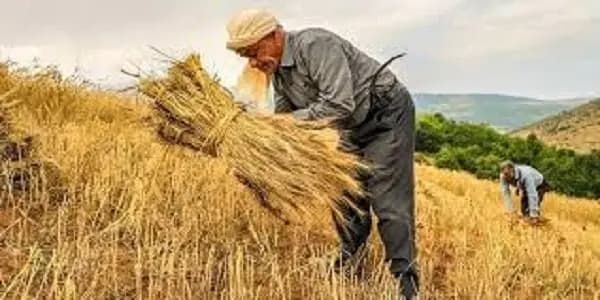 پیش بینی هواشناسی هرمزگان در روز یکشنبه ۱۸ خرداد