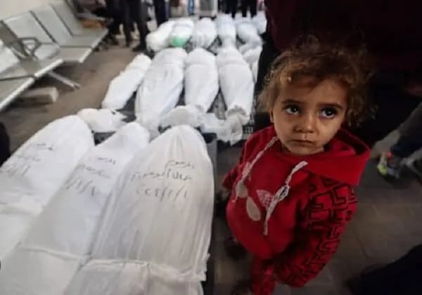 کشته شدن ۲ نفر از کارکنان صلیب سرخ در حمله هوایی اسرائیل به غزه