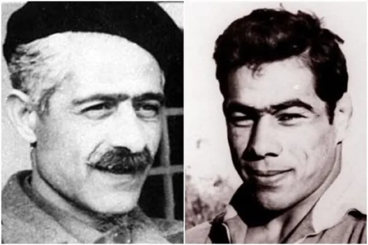 ترند