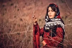 چمران: شهرستانی‌ها نباید در تهران مسافرکشی کنند!