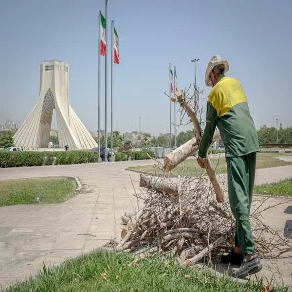 ترند