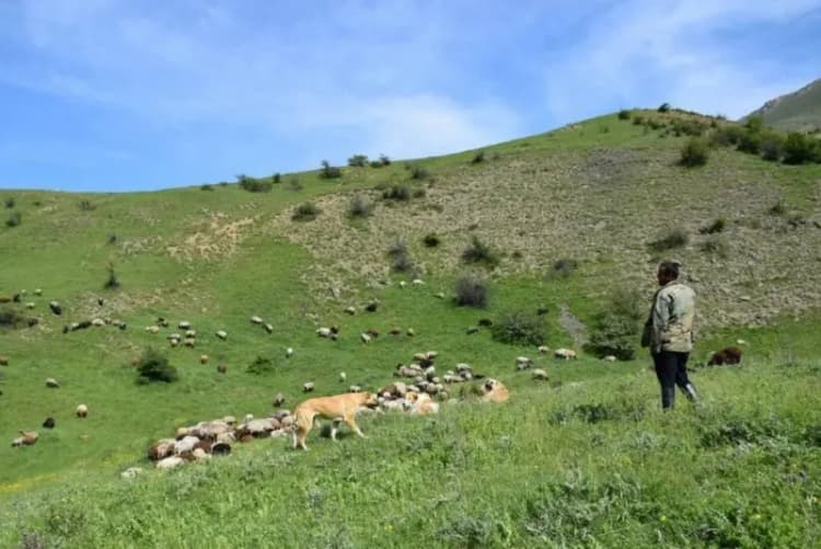 558 زندانی در قزوین تحت پوشش سوادآموزی قرار گرفتند