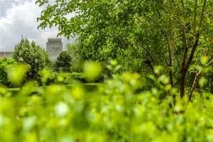 برنامه قطع برق سیستان و بلوچستان و زاهدان امروز یکشنبه 4 خرداد