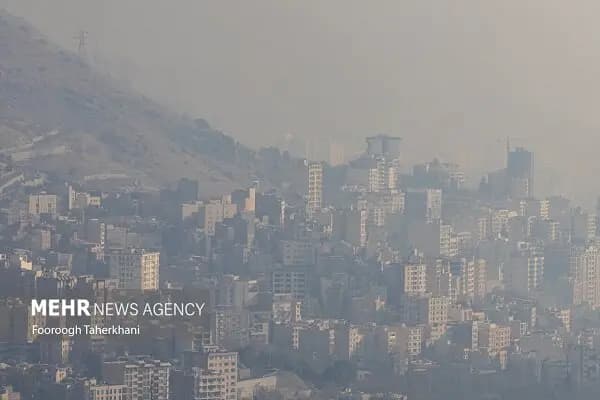 حضور نماینده قم در اردوی تیم ملی پاراتکواندو بانوان