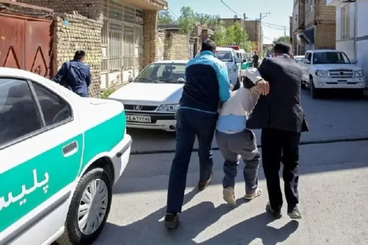 چرا شیر دادن به گربه‌ها اشتباه است؟