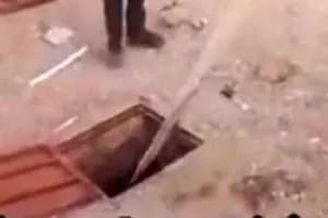 ۷۰ درصد هندوانه های قابل برداشت گچساران در حال خراب شدن هستند