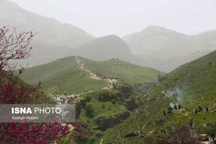 ترند