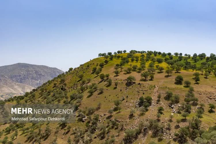 مسئولان به دغدغه‌ها و مطالبات اهالی موسیقی لرستان توجه کنند