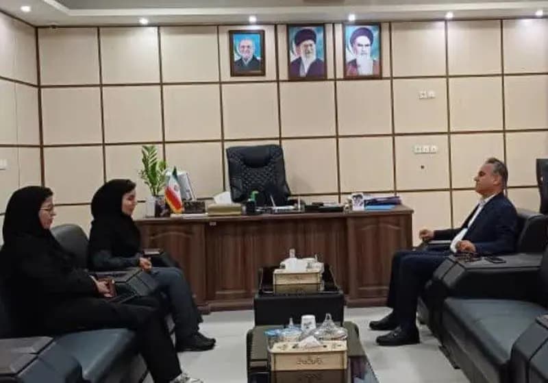سمن‌ها بازوان دولت در مسائل اجتماعی هستند