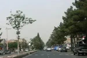 ترند