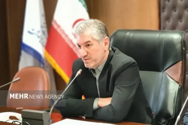 وضعیت بیمه رانندگان تا دو ماه آینده مشخص می‌شود+فیلم