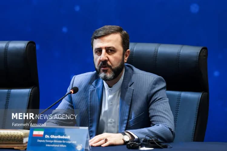 نایب رئیس مجلس به‌خاطر پسرش عذرخواهی کرد