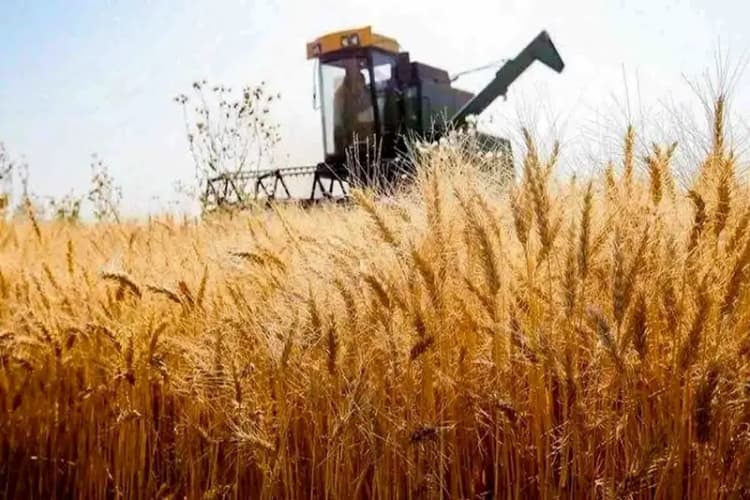 خودکفایی در تولید محصولات IT رویایی بلندپروازانه است/ بی‌توجهی دولت به زیرساخت‌های فناوری