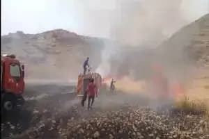 ترند