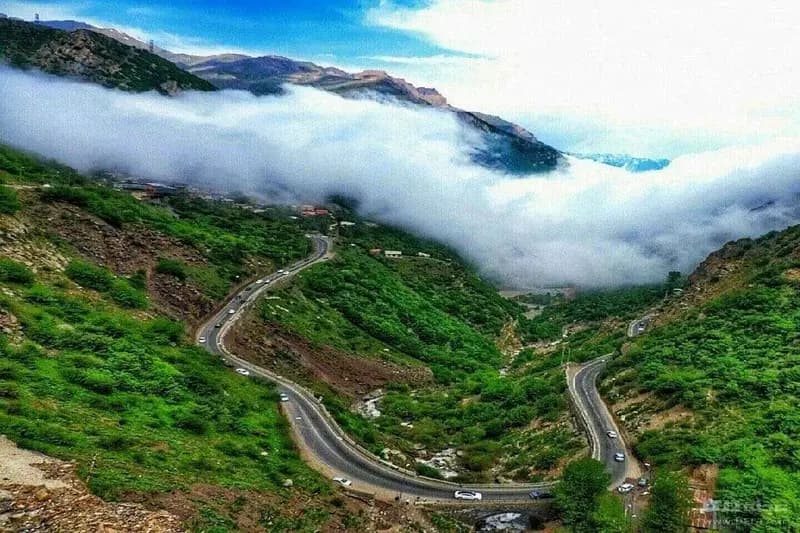 ترند