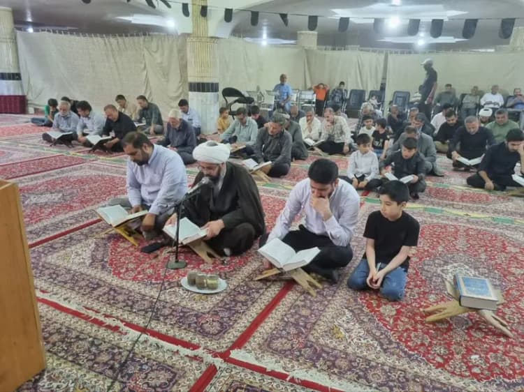 واکنش شهرداری تهران به قطع درختان چیتگر و سرخه حصار