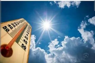 چرا شیر دادن به گربه‌ها اشتباه است؟
