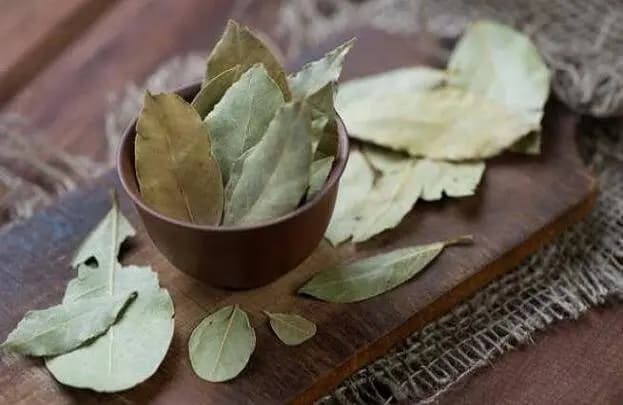 تصاویر آتش‌سوزی شدید در میدان نقش جهان اصفهان 