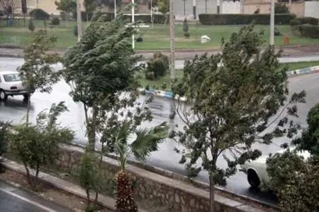 ترند