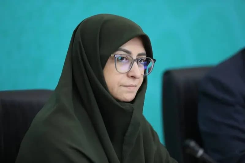 رئیس سازمان حفاظت از محیط زیست کشور وارد تبریز شد
