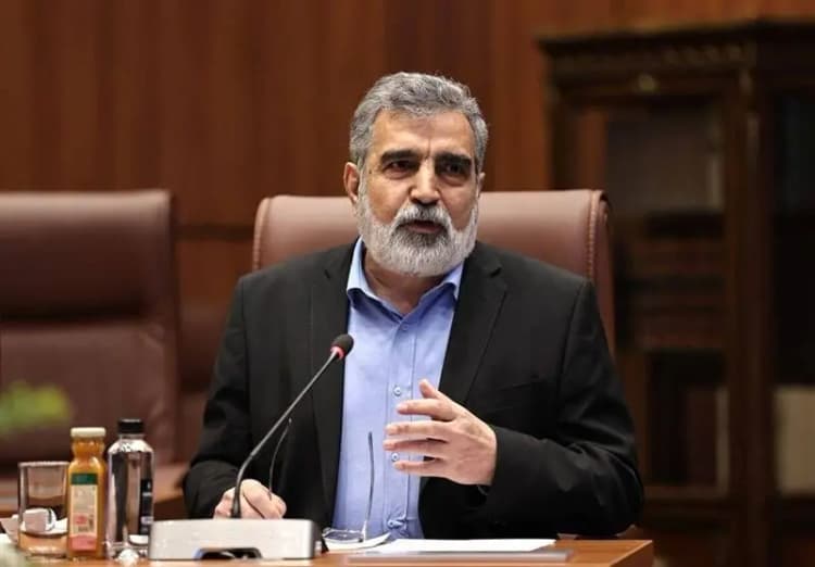 اولیانوف: قطعنامه علیه ایران نتایج مثبتی نخواهد داشت
