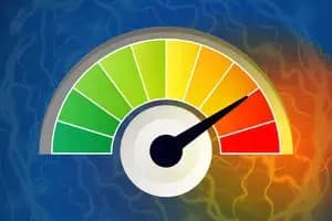 قیمت گوشت مرغ امروز دوشنبه ۱۹ خرداد ۱۴۰۴ 