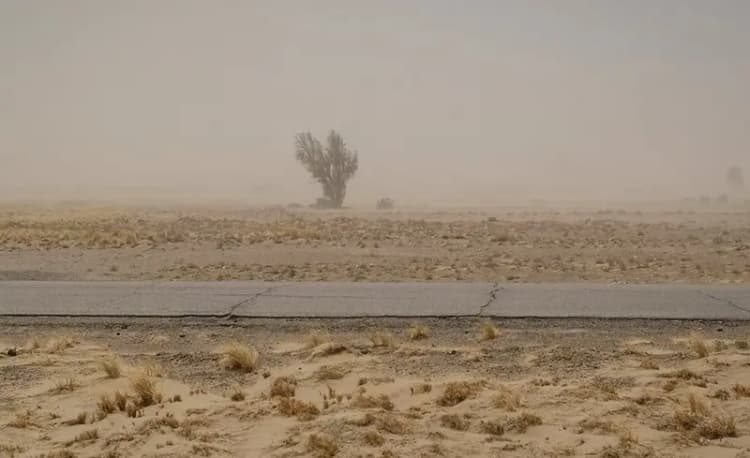 ترند