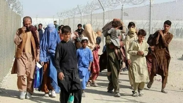 12 سلفی بامزه با حیوانات که شما را می‌خنداند