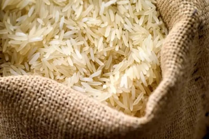 ترند