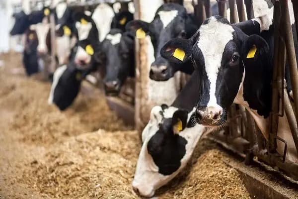 برنامه توسعه عدالت آموزشی گامی مهم برای دسترسی برابر به امکانات است
