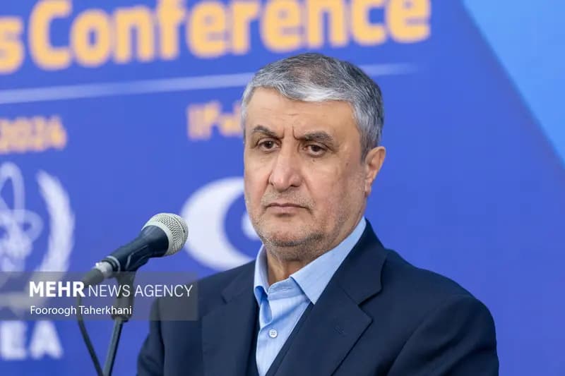 ایران به بلوغ کامل در چرخه سوخت هسته‌ای دست یافته است