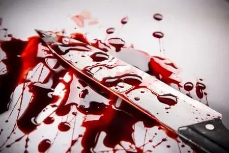 خبر تجاوز به الهه حسین‌نژاد تکذیب شد