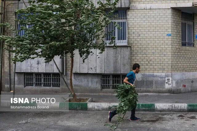 وزش باد شدید و گردوخاک در نوار شرقی کشور