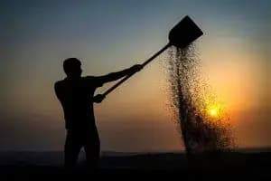 اختلاف ۲ هزار میلیارد تومانی دولت و کشاورزان قابل حل است ؟ 