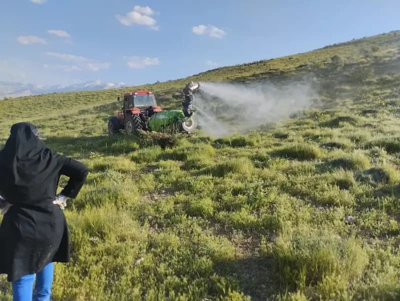 مبارزه با آفت ملخ بومی و مراکشی در ۵۰۰۰ هکتار از اراضی اصفهان