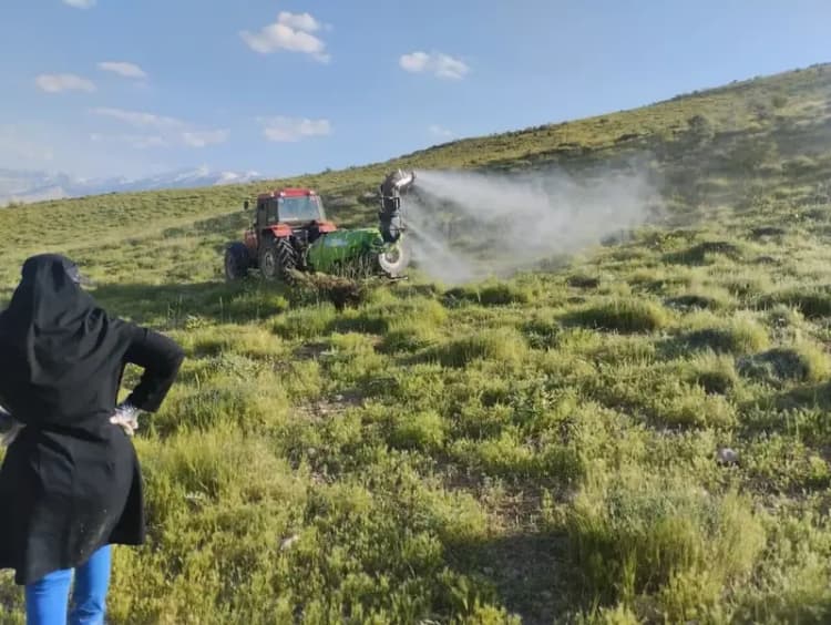توقیف خودروهای شوتی در زابل