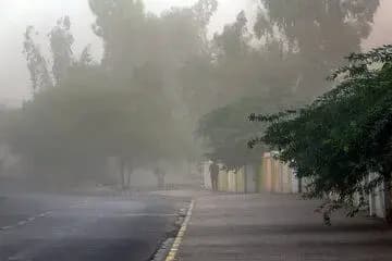 خطرات مصرف بیش از حد پروتئین