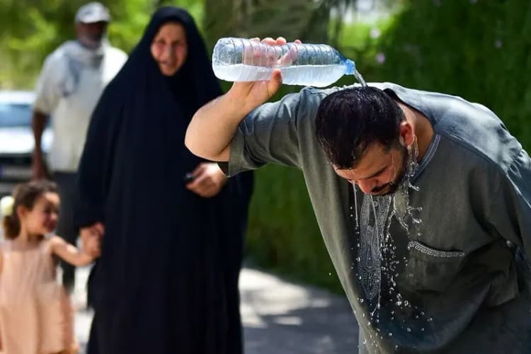 ترند