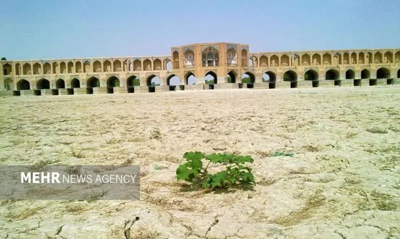 درختان کهنسال اصفهان از رنج بی آبی زاینده‌رود می‌خشکند