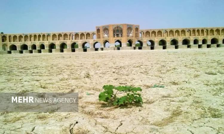 یک خاصیت کمتر گفته‌ شده‌ توت فرنگی