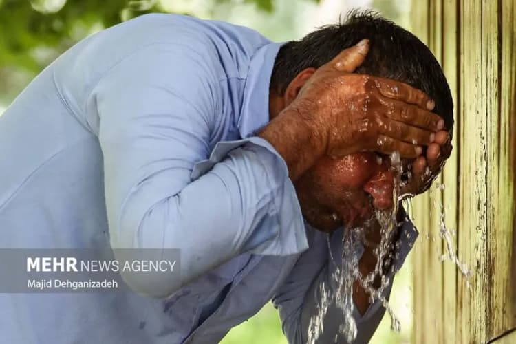 ترند