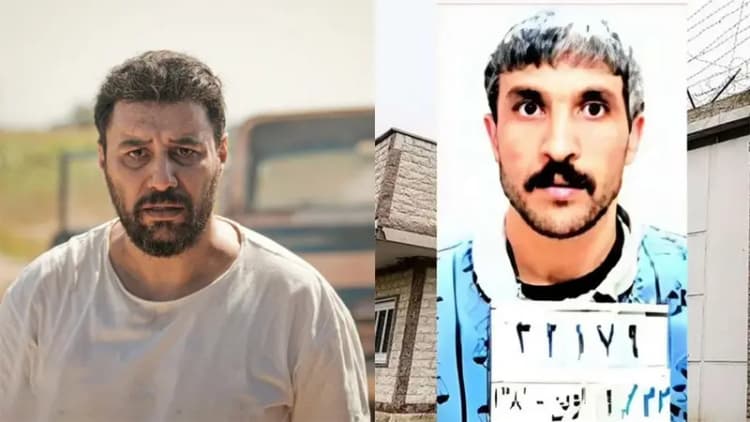 نیما شاهرخ‌شاهی: 27 تا گربه معلول دارم/ 3 تا خانواده رو دارم سرپرستی میدم/ کل زندگیمو بخشیدم