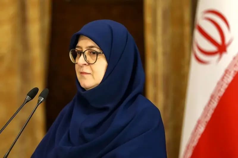 سخنگوی دولت درباره تخلیه خانه اندیشمندان: به دستور رئیس‌جمهور، اقدامات لازم برای حمایت از این نهاد علمی در دستور کار قرار گرفت/ دولت خود را متعهد به پشتیبانی از جریان آزاد اندیشه و تبادل نظر می‌داند