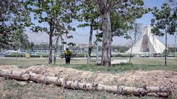نحوه خودکشی تتلو در زندان مشخص شد 