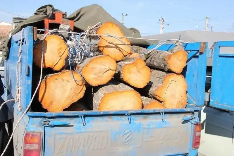 کشف بیش از ۲ تن چوب قاچاق در آوج