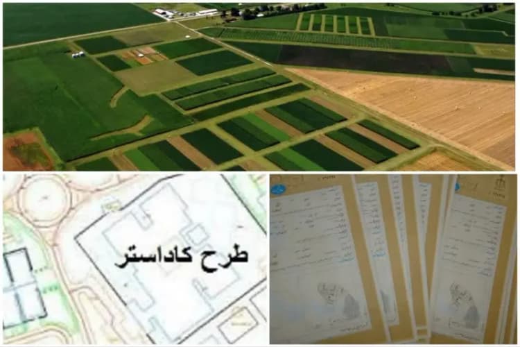 ترند
